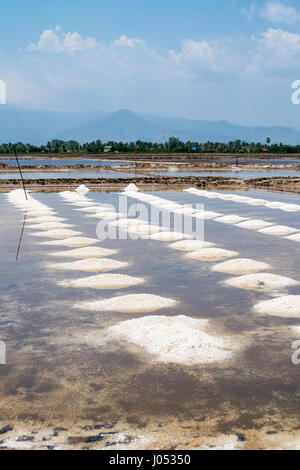 Salzfelder von Kampot, Kambodscha, Asien Stockfoto