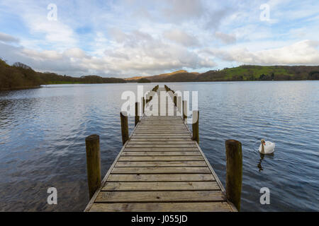 Coniston, Lake District, Cumbria. 10. April 2017. Ein Schwan neben Rigg Steg auf Coniston Water auf einen trüben und kalten Start in den Tag, die Temperatur ist seit gestern als ändert sich das Wetter kälter landesweit deutlich gesunken. Kredit Dan Tucker/Alamy Live-Nachrichten Stockfoto