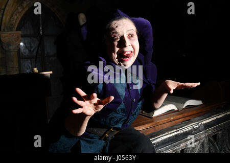 Berlin, Deutschland. 3. April 2017. Schauspielerin Franziska "Giesi" Traub partakes in das Benefiz-Event als Harlekin im Berlin Dungeon in Berlin, Deutschland, 3. April 2017. Prominente übernehmen Rollen in spezielle Outfits für den Abend im Dungeon. Alle Einnahmen werden für die Hilfsorganisation "Merlins Zauberstab", die für Kranke und benachteiligte Kinder kämpft gespendet. Foto: Jens Kalaene/Dpa-Zentralbild/ZB/Dpa/Alamy Live News Stockfoto