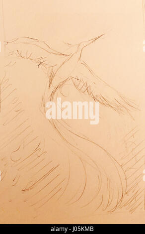 Aufstand Vogel Phönix fliegt, Zeichnung auf weißem Papierhintergrund. Stockfoto