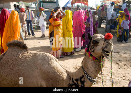 Menschen in Camel fair, Pushkar, Rajasthan, Indien, Asien Stockfoto