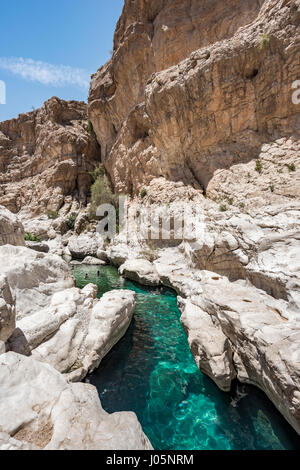 Touristen schwimmen im klaren blau-grünen Wasser des Wadi Bani Khalid, Sultanat von Oman, vertikale Aussicht, eine Touristenattraktion und ein Ziel Stockfoto