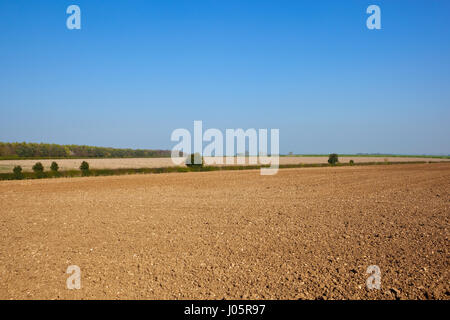 neu Gepflügtes kalkhaltigen Böden in den Hügeln von Yorkshire Wolds mit Wald und Hecken unter strahlend blauem Himmel im Frühling Stockfoto