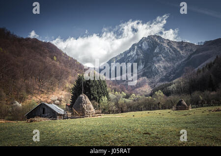 Ferienhaus auf einer Wiese. Das Chalet ist von Wald umgeben. Stockfoto