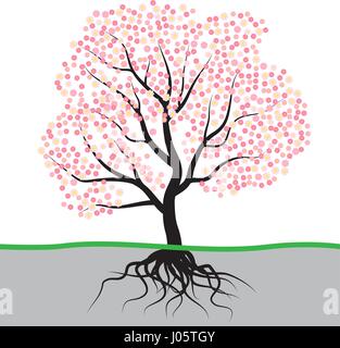 Baum mit Blüten und Wurzeln Stock Vektor