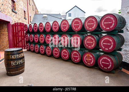 Fässer gestapelt an der Old Bushmills Whiskey Brennerei, Bushmills, Nordirland, Vereinigtes Königreich Stockfoto