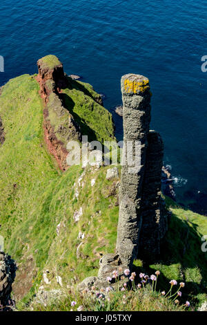 Basaltsäulen, bekannt als "The Giant Schornsteine" in der Nähe von Port-Na Spaniagh, von der Causeway-Küste Wanderweg, County Antrim, Nordirland, Vereinigtes Königreich Stockfoto