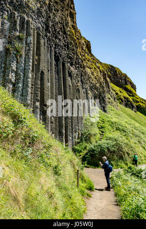 Basaltsäulen, bekannt als "The Giant Organ", in der Nähe von Giant's Causeway, von der Causeway-Küste Fußweg, County Antrim, Nordirland, Vereinigtes Königreich Stockfoto