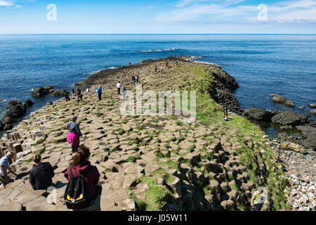 Der große Damm der Giant es Causeway, Causeway-Küste, County Antrim, Nordirland, Vereinigtes Königreich Stockfoto