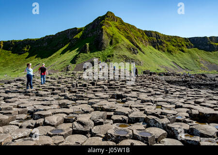 Aird Schnauze und die großen Damm der Giant es Causeway, Causeway-Küste, County Antrim, Nordirland, Vereinigtes Königreich Stockfoto