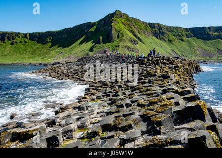 Aird Schnauze und die großen Damm der Giant es Causeway, Causeway-Küste, County Antrim, Nordirland, Vereinigtes Königreich Stockfoto