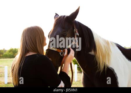 Bindung zwischen Pferd und Mensch Stockfoto