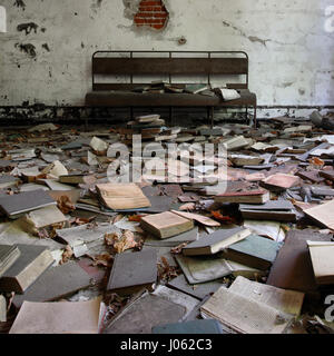 NEW YORK, USA: Unheimliche Bilder haben gezeigt, dass die verlassenen Ruinen einer Lepra-Kolonie auf einer Insel in New York, die die erste jemals untergebracht asymptomatische Träger der Krankheit sowie der berüchtigten Patient Typhus Mary diagnostiziert. Die eindringlichen Bilder zeigen verrottenden Stühle aufgereiht in einer großen Halle und eine leere Rost Bettkasten. Andere Aufnahmen zeigen Natur ab, die Insel zurückzuerobern, wie Reben wachsen über und durch einige der Gebäude, die Typhus Mary untergebracht haben können. Die Druckknöpfe auf North Brother Island wurden mit einer Canon 5D Mark II von US-amerikanischer Bauingenieur und urban Explorer Brendan Clinch (31) Stockfoto