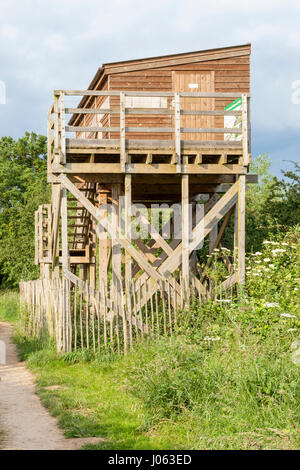 Angehobene Wildlife Beobachtung verbergen. Die Keith Corbett Memorial Ausblenden in Naturschutzgebiet Attenborough, Nottinghamshire, England, Großbritannien Stockfoto