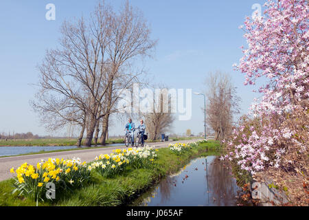 Kamerik, Niederlande, 28. März 2017: paar auf dem Fahrrad übergibt Blumen in das grüne Herz von Holland am Deich zwischen Kanälen Stockfoto