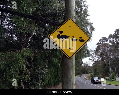 Schild mit einem Duck Crossing Stockfoto