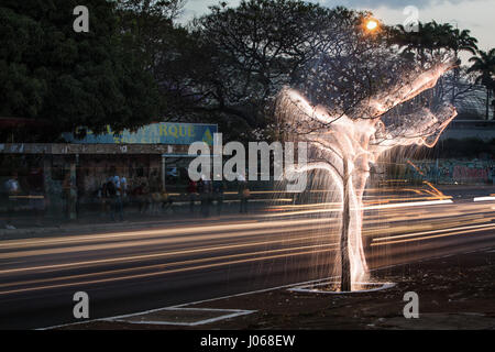 BRASILIANISCHE MITTELLAND, Brasilien: Natur und Wissenschaft haben verschmolzen, wie ein Fotograf Feuerwerk abgefeuert von Bäumen verwendet, um ihnen Licht zu bluten. Die magische Aufnahmen zeigen Bäume und einen See, beleuchtet von den Licht-Trails aus Fireworks in lagen über Brasiliens Mittelland, ein Wildlife-reiche Landschaft für die meisten der östlichen, zentralen und südlichen Teil von Brasilien. Lokalen Fotografen Vitor Schietti manuell winkte Feuerwerk mit Hilfe einer langen Stange, die wirbelnden Muster zu erstellen und bis zu zwölf Fotografien um das Finale zu erreichen, man die Sammlung von Bildern nennt, geschichteten "vergänglich Stockfoto