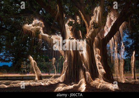 BRASILIANISCHE MITTELLAND, Brasilien: Feuerwerk haben verwendet, um einzigartige Kunstwerke schaffen, die Vergänglichkeit des Lebens darstellt. Die Serie namens "Einheiten" zeigt feurig orange wirbelt und Streifen gegen natürliche Einstellungen überlagert.  Lichtmuster lässt sich über dem Wasser tanzen, Felsen und sand sowie mächtigen alten Bäumen in ein spektakuläres Feuerwerk. Brasilianische Fotograf Vitor Schietti (30) schuf dieses leuchtende Kunstwerk in seinem Heimatland mit der brasilianischen Mittelland als seinen Hintergrund. Stockfoto