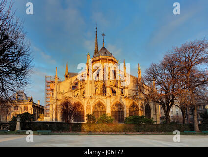 Notre-Dame in Paris, Frankreich Stockfoto
