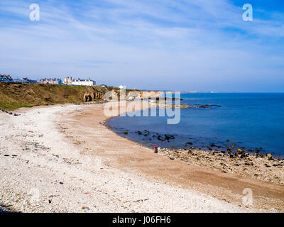 Strand bei Seaham Co. Durham England mit hellen weißen Kieselsteinen magnesiumhaltiger Kalkstein die zugrundeliegende Geologie Stockfoto