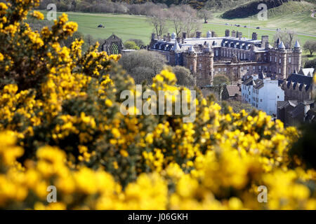 Einen allgemeinen Überblick über dem Palace of Holyroodhouse in Edinburgh, in der Frühlingssonne. Stockfoto