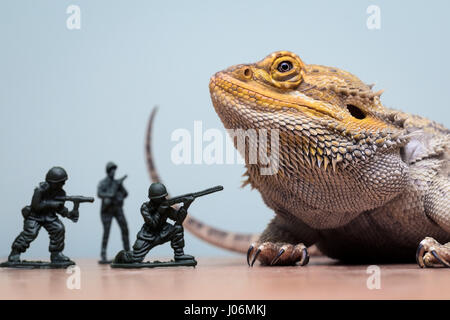 Bartagame Monster von Kunststoff Soldaten angegriffen Stockfoto