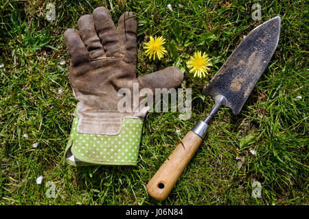 Ein Garten Handschuhe verschmutzt und ein Garten Kelle für Unkraut jäten sind auf einem Rasen mit Löwenzahn (Taraxacum) Unkraut befallen abgebildet. Stockfoto