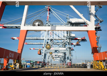 Horizontale Ansicht der Krane be- und Entladen Containerschiffe einen Tiefwasser-Hafen in Vietnam. Stockfoto