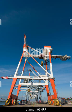 Vertikale Ansicht von Kränen be- und Entladen Containerschiffe einen Tiefwasser-Hafen in Vietnam. Stockfoto