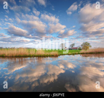 Bunte blauer Himmel mit Wolken spiegeln sich in Wasser, Häuser in der Nähe von Kanal, Bäume, grün und gelb Schilf bei Sonnenaufgang in Niederlande. Erstaunliche Szene. Stockfoto