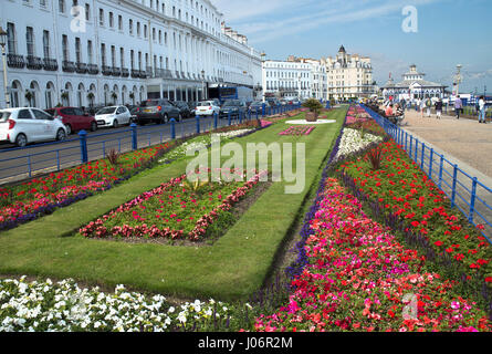 Teppich-Gärten, Eastbourne, East Sussex Stockfoto