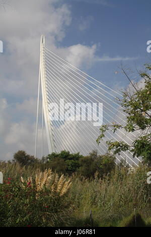 De l'Assut oder Brücke und Turia Gärten, Stadt der Künste und Wissenschaften, Valencia, Spanien Stockfoto