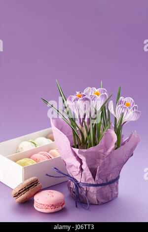 Krokusse Topf und Schachtel macarons Stockfoto