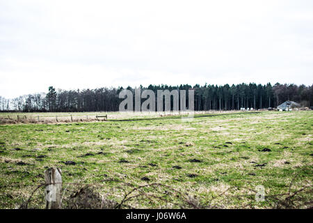Landschaft mit Himmel und Bäume Stockfoto