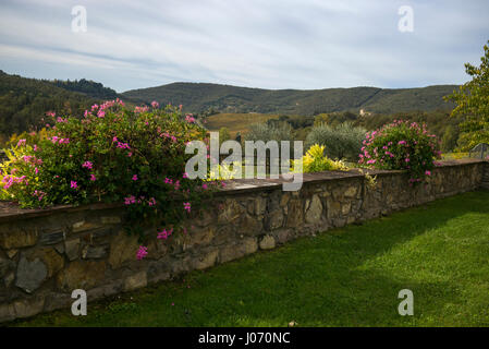 Herrliche Sicht auf die steinerne Stützmauer am Tourist Resort, Gaiole In Chianti, Toskana, Italien Stockfoto