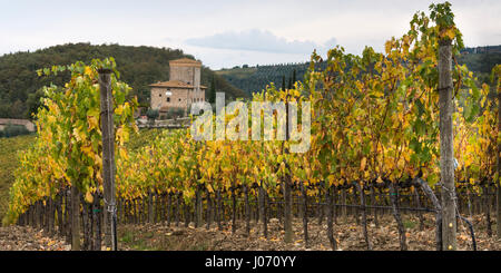 Malerischen Blick auf Häuser im Dorf mit Weinbergen, Radda in Chianti, Toskana, Italien Stockfoto