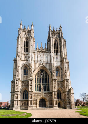 Westende von Beverley Minster East Yorkshire UK große Church Of England Pfarrkirche von 1220 in frühen englischen und senkrecht Stile. Stockfoto