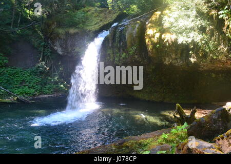 Wasserfall in Mt Saint Helens Denkmal Stockfoto