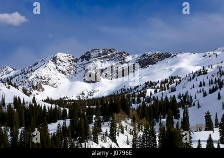 Dies ist eine Ansicht eines schneebedeckten Berges bekannt als Teufels Burg befindet sich in Albion Basin Alta, Utah, USA. Stockfoto