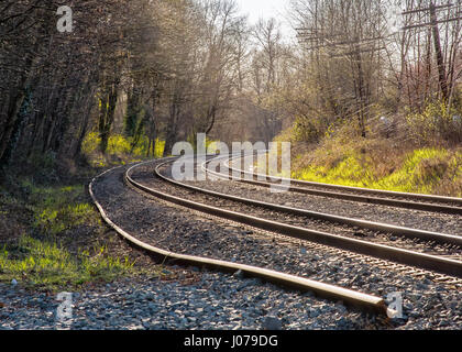 Gleise der Canadian Pacific Railway (CPR) laufen neben Burnaby Lake. Bäume laufen entlang einer Seite der Strecke, während Stromleitungen auf der anderen sind. Stockfoto