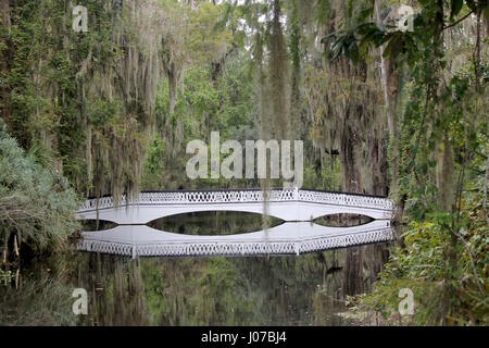 Weiße Holzbrücke mit Reflexion Stockfoto