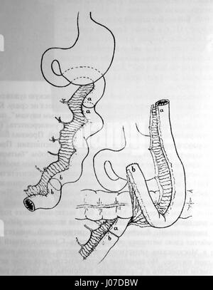 Dieser Titel bezieht sich auf einen Text oder ein Dokument in einer nicht-lateinischen Schrift, die eine transliterierte Phrase in kyrillischer Sprache zu sein scheint, die sich möglicherweise auf historische oder kulturelle Informationen bezieht. Leider ist eine weitere Identifizierung aufgrund des fehlenden spezifischen Kontexts derzeit nicht möglich. Stockfoto