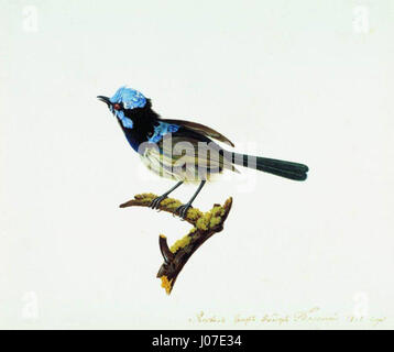 Dieser Titel bezieht sich auf ein Porträt oder eine Darstellung des berühmten russischen Komponisten Pjotr Iljitsch Tschaikowski, geboren 1817. Das Kunstwerk hebt Tschaikowskys Bedeutung in der Welt der klassischen Musik hervor und fängt sein Vermächtnis als einer der berühmtesten russischen Komponisten ein. Stockfoto