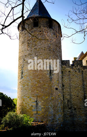 Am frühen Morgen Frühlingssonne Blicke über die Wände des Château Comtal innerhalb der mittelalterlichen Cité de Carcassonne, Frankreich Stockfoto