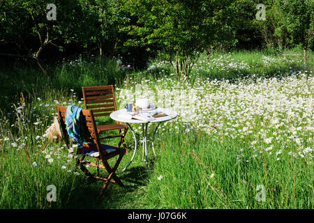 Zwei Stühle und einen Tisch mit Bücher, Tassen und sun Hüte, in einem wildflower Meadow an einem heißen sonnigen Nachmittag. Oxe Auge Gänseblümchen Stockfoto