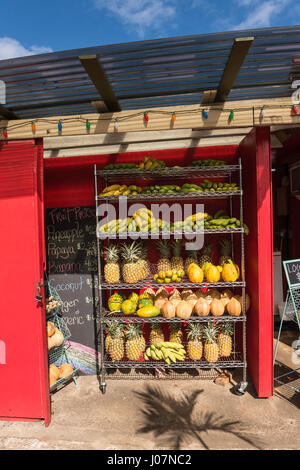 Frisches Obst stehen, Hanalei, Kauai, Hawaii, USA Stockfoto