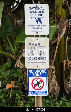 Jenseits dieses Zeichen geschlossen, No Drone Zone, Hanalei National Wildlife Refuge, Wegweiser, Kauai, Hawaii, USA Stockfoto