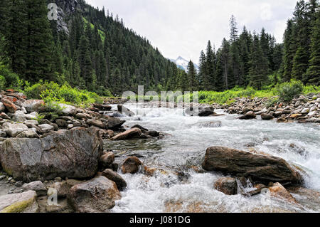 Schmerz-Fluss im Krimmler Achental (Österreich). Späteren Krimmler Wasserfälle Stockfoto