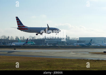 EVERETT, WASHINGTON, USA - 26. Januar 2017: Eine brandneue American Airlines Boeing 737-800 nächste Gen MSN 31258, Registrierung N309PC kehrt von einem erfolgreichen Testflug landet auf dem Flughafen Snohomish County oder Paine Field Stockfoto