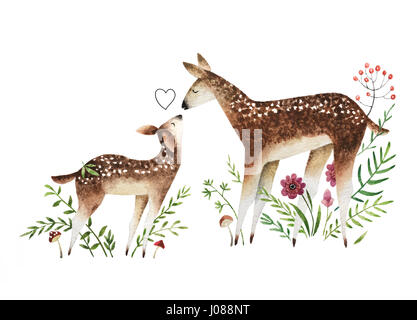 Isoliert auf weißem Hintergrund Aquarell Hirsche. Handgezeichnete Baby Hirsche und Rehe der Mutter mit Blumen, Pilzen und Beeren. Stockfoto